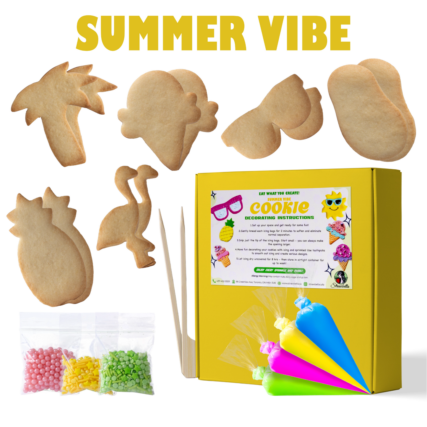Summer Vibe Cookie Decorating Kit