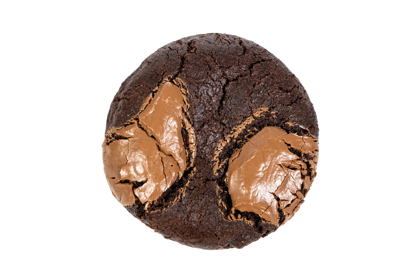 Double Chocolate Cookie